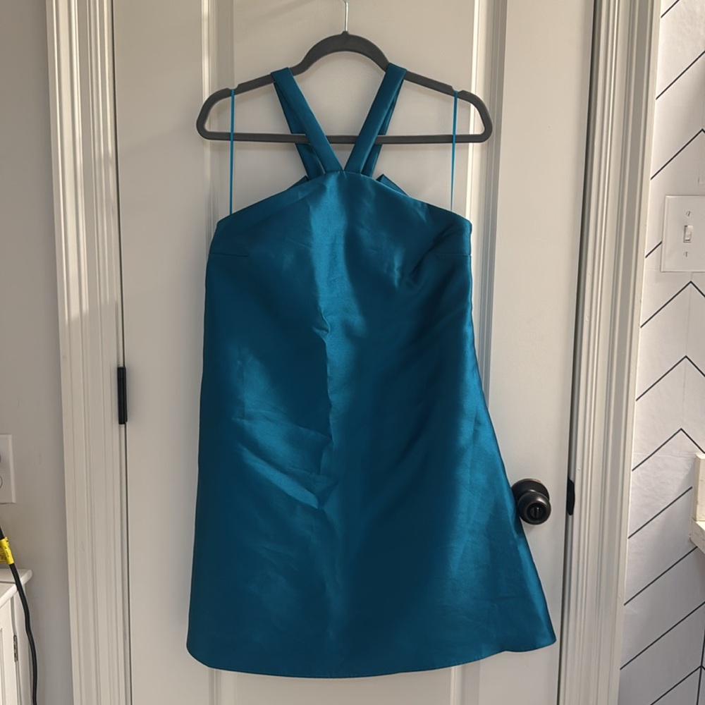 Belle Badgley Mischka dress